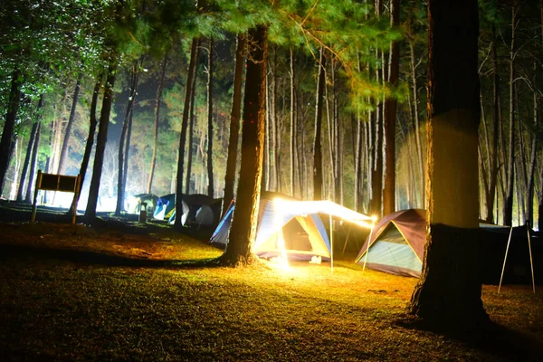 夜は森の中のキャンプ場 — ストック写真