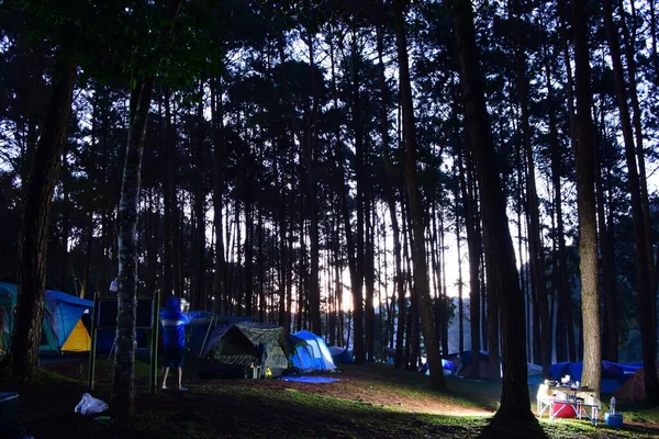 Zeltplatz Wald Morgen — Stockfoto