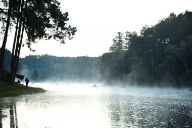 Güzel manzara nehir ve orman