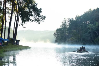 Güzel manzara nehir ve orman