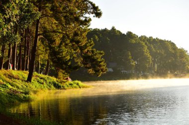 Nehir ve ormanlı güzel bir manzara.