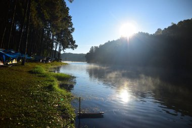 Güneşli bir günde nehirle güzel bir manzara