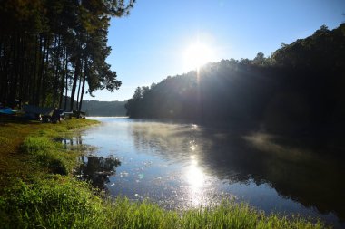 Ormandaki nehir kıyısında kamp yeri.