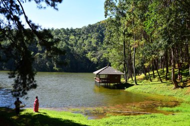 Ormanda taraça ile nehir kıyısında
