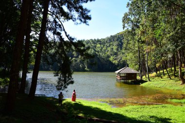 Ormanda taraça ile nehir kıyısında