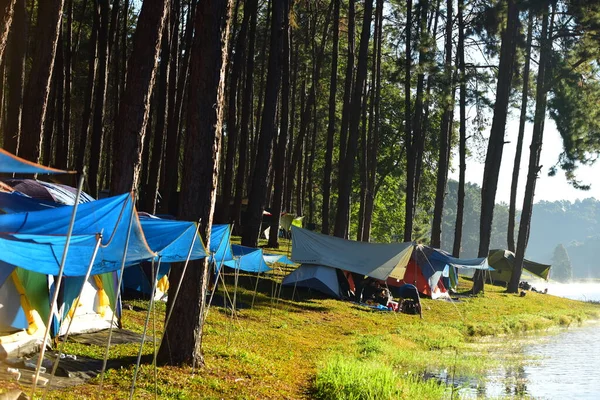 Camping Costa Del Río Bosque —  Fotos de Stock