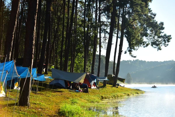 Camping Costa Del Río Bosque —  Fotos de Stock