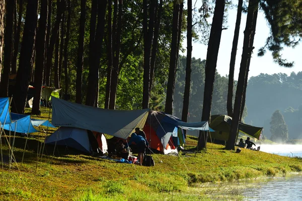 Camping Costa Del Río Bosque — Foto de Stock
