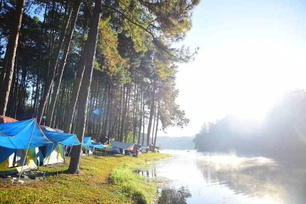 Campingplatz Der Flussküste Wald — Stockfoto
