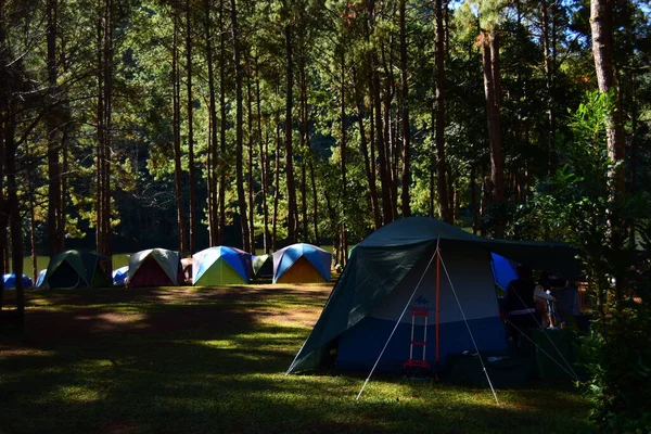 Campingplatz Wald Der Flussküste — Stockfoto