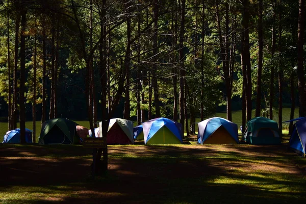 Camping Bosque Costa Del Río —  Fotos de Stock