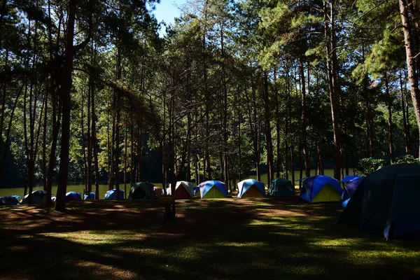 Campingplatz Wald Der Flussküste — Stockfoto