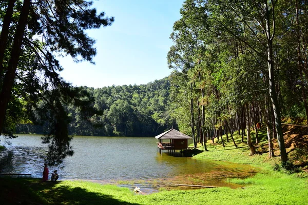 Côte Fluviale Avec Belvédère Forêt — Photo