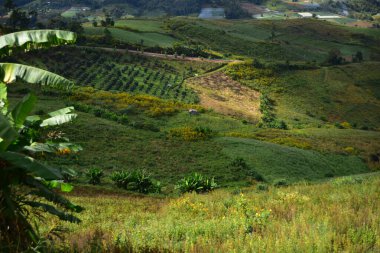 Güneşli bir günde Asya 'da güzel bir dağ manzarası