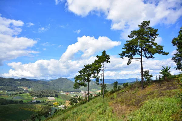 Beautiful Mountain Landscape Asia Sunny Day — Stock Photo, Image