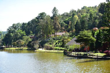 Nehir kıyısındaki Asya kasabası