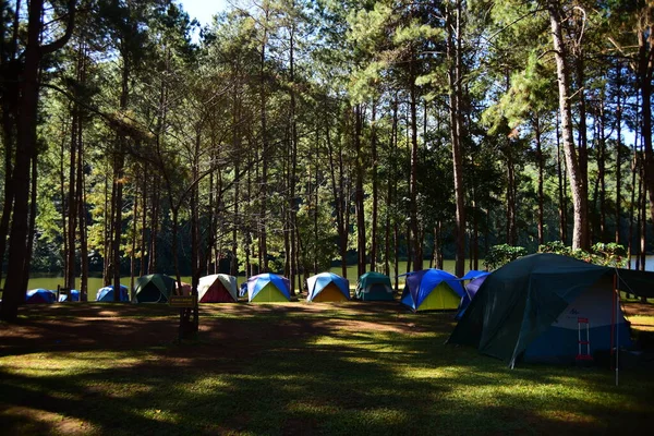 Camping Lugar Com Tendas Floresta — Fotografia de Stock