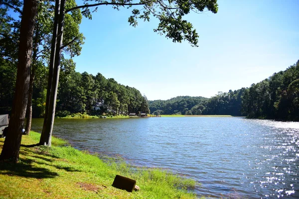 Schöne Landschaft Mit Flussküste Und Wald — Stockfoto