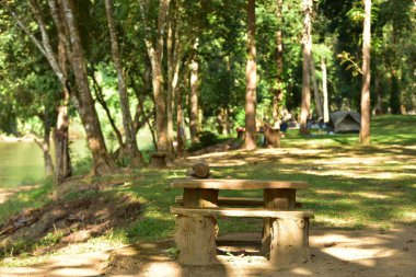 Güneşli ormanda karavan sahilinde dinlenme yeri