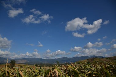 Dağlarda tarlaları olan güzel kır manzarası