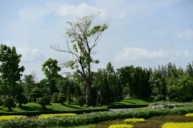 Güneşli bir günde güzel bir park