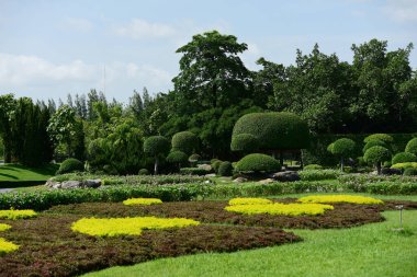 Güneşli bir günde güzel bir park