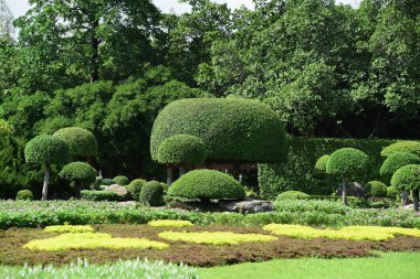 Güneşli bir günde güzel bir park