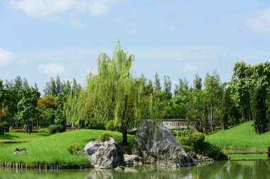 Güneşli bir günde güzel bir park