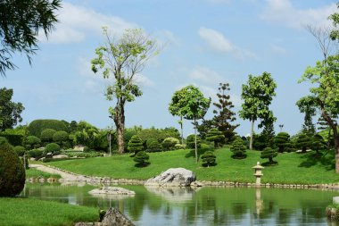 Güneşli bir günde güzel bir park
