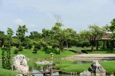 Güneşli bir günde güzel bir park
