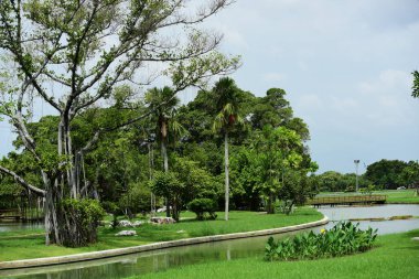 Güneşli bir günde güzel bir park