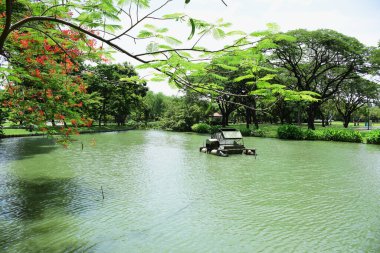 Güneşli bir günde güzel bir park
