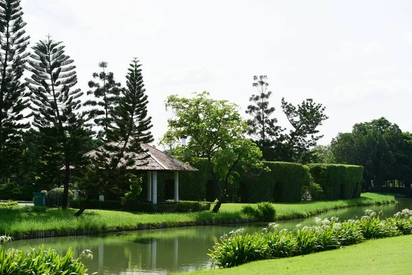 Piękny Zielony Park Rzeką — Zdjęcie stockowe