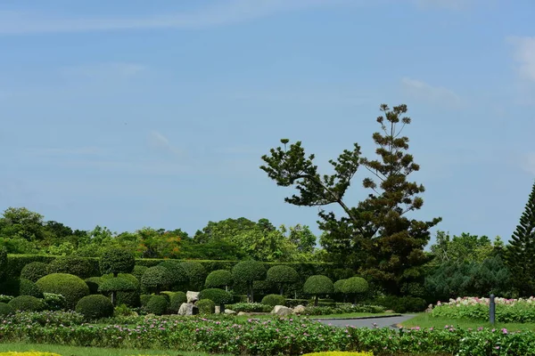 Güneşli Bir Günde Güzel Bir Park — Stok fotoğraf