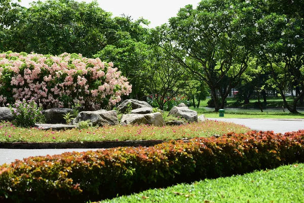 Beautiful Park Sunny Day — Stock Photo, Image