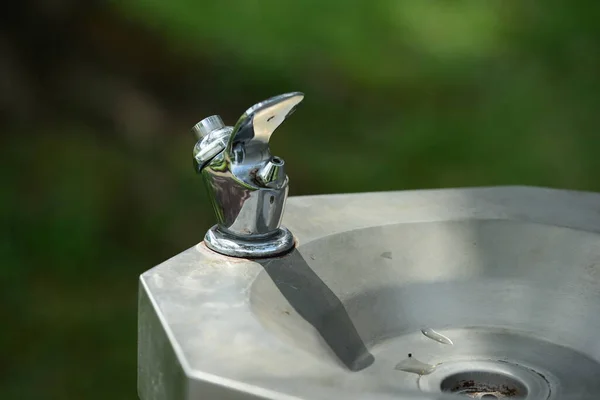 Waschbecken Verschwommenen Park — Stockfoto