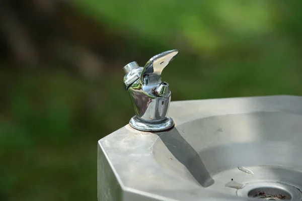 Waschbecken Verschwommenen Park — Stockfoto