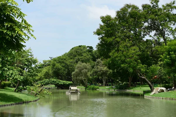 Krásný Park Slunečného Dne — Stock fotografie