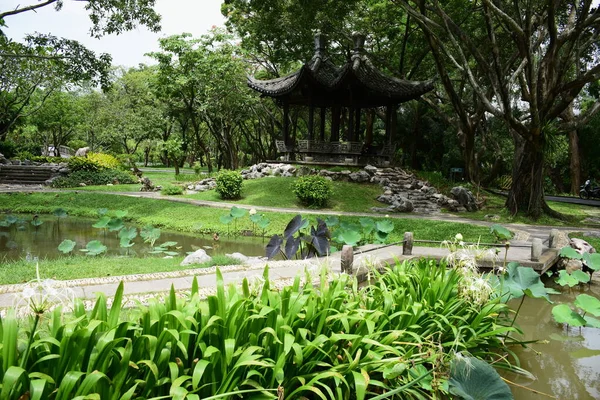 Asiatiskt Hus Grön Park — Stockfoto