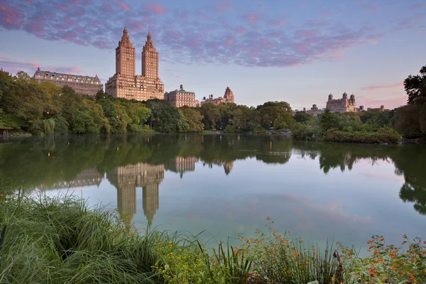 Central Park. — Stock Photo, Image