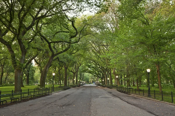 Central Park. — Stock Photo, Image