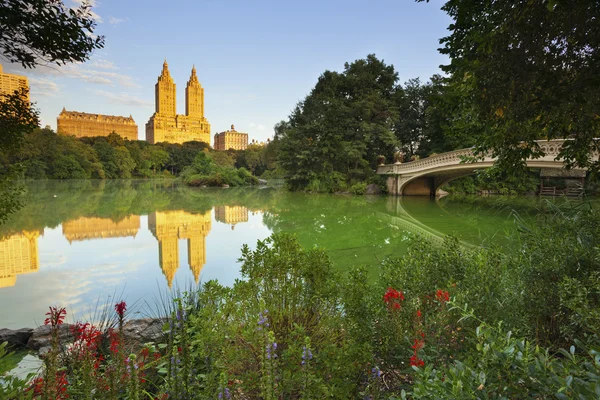 Centraal Park. — Stockfoto