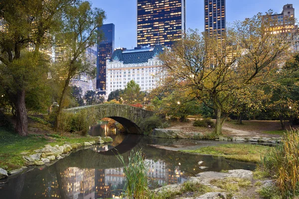 Central Park y Manhattan skyline . — Foto de Stock