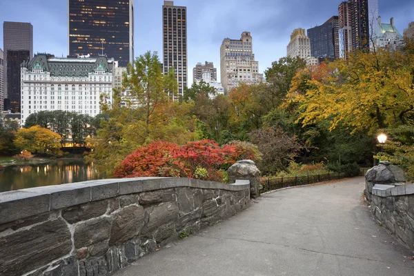 Central park a panorama Manhattanu. — Stock fotografie