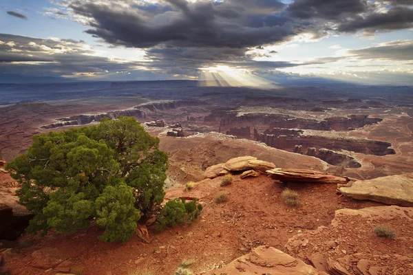 Grand View Point. — Fotografie, imagine de stoc