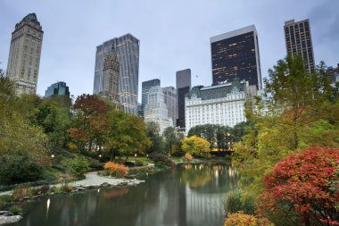 Central park ve manhattan skyline.