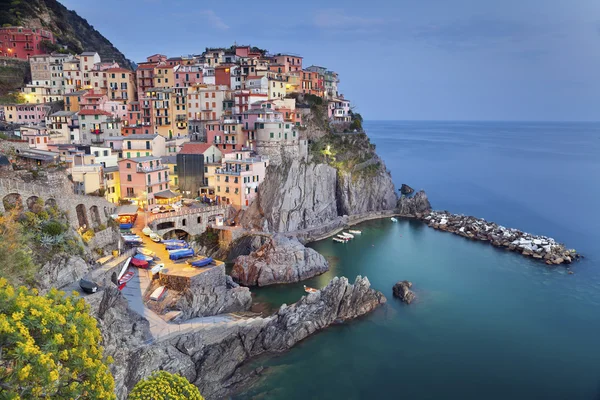 Manarola. — Foto de Stock