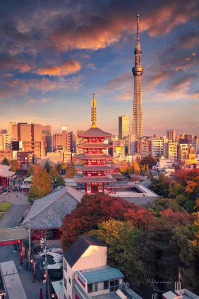 Tokio Japonia Obraz Miasta Tokio Japonia Asakusa Rozciągacz Jesiennym Zachodzie — Zdjęcie stockowe