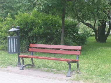 gül bahçesinde frost ile kaplı