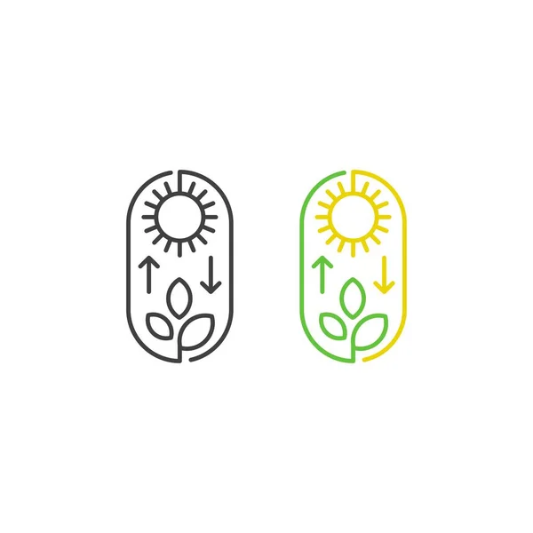 Photosynthesis Sun Plant Vector Icon Template — Vetor de Stock
